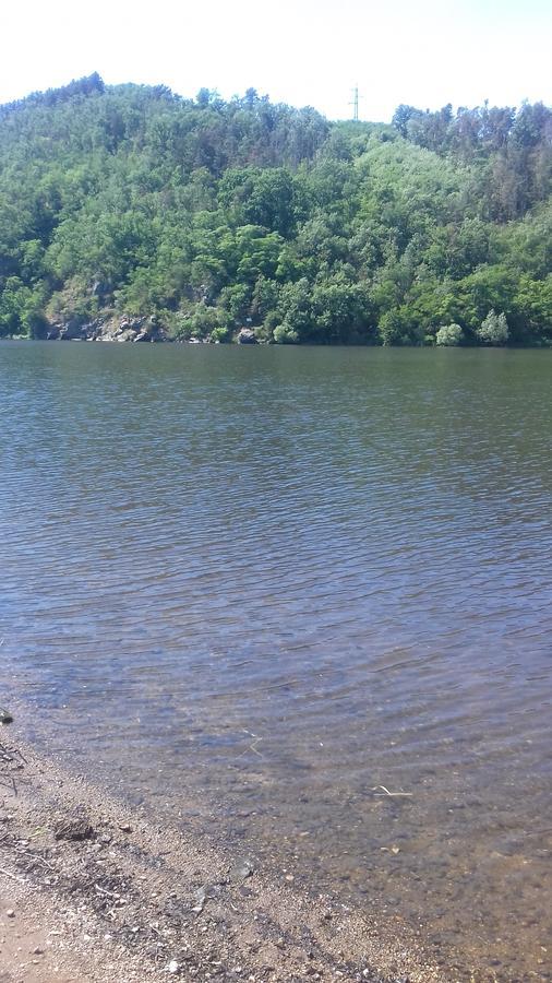 Penzion Patak Kamyk nad Vltavou Екстериор снимка